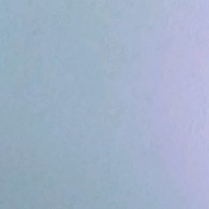 Meet your Posher, Maya